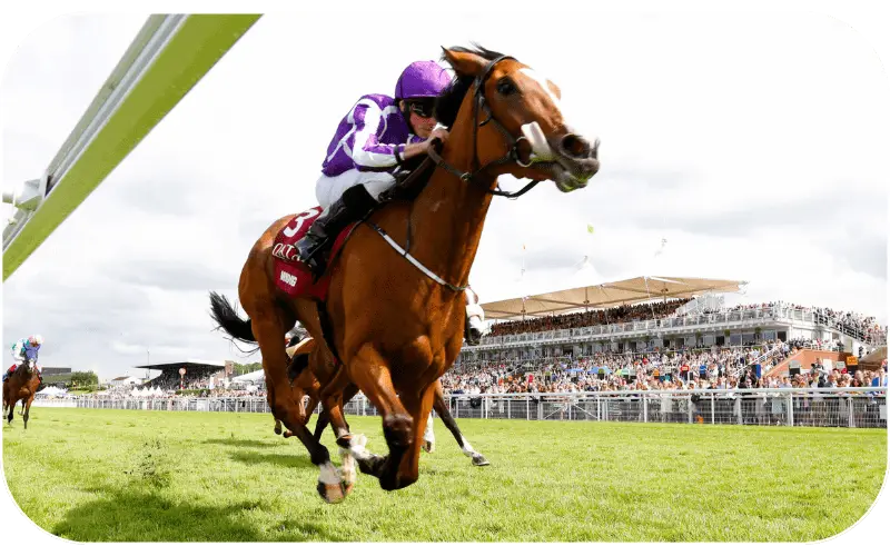 Horse racing